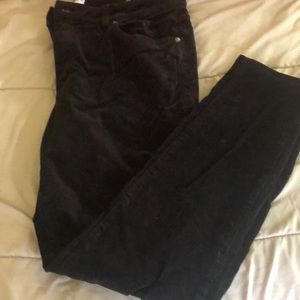 Loft skinny and curvy black velvet casual pants. Size 14